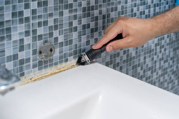 Best Residential Mold Remediation in Wrightsville Beach, NC