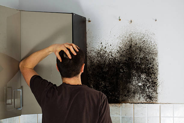 Trusted Wrightsville Beach, NC Mold Remediation Experts